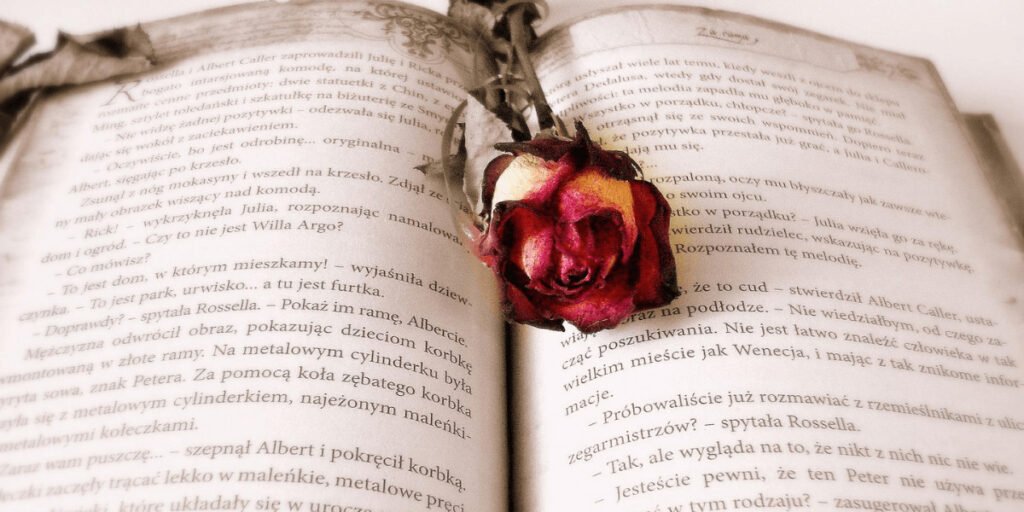 Фанфик – усе, що потрібно знати про світ фанатської творчості фанфик