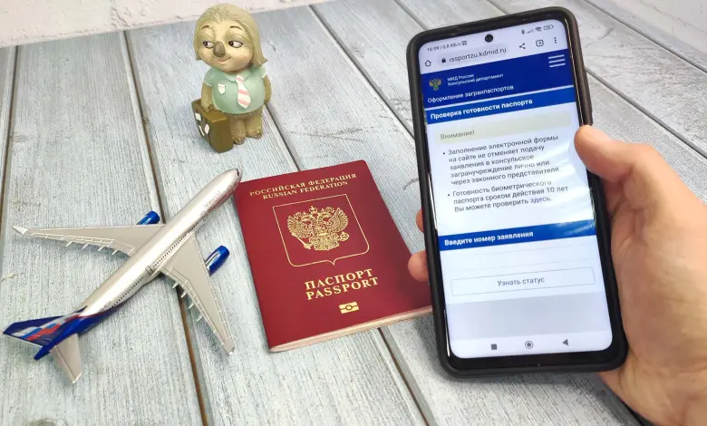 проверка готовности паспорта